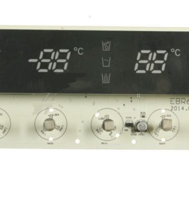 PANEL DISPLAY EBR61081127